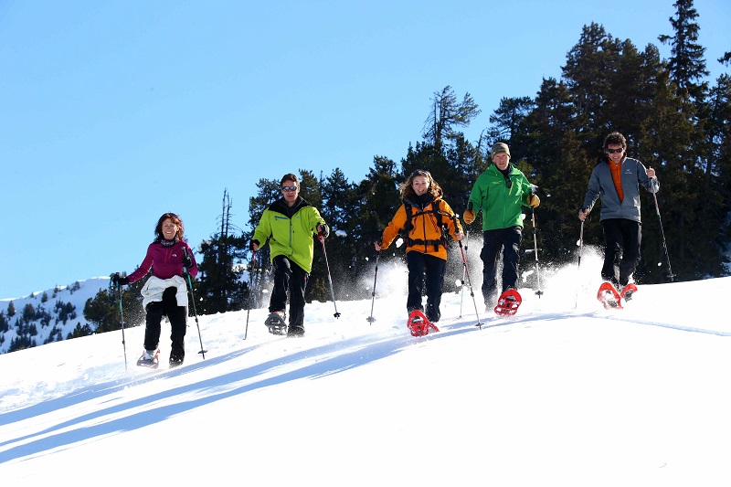 sortie groupe raquette courchevel