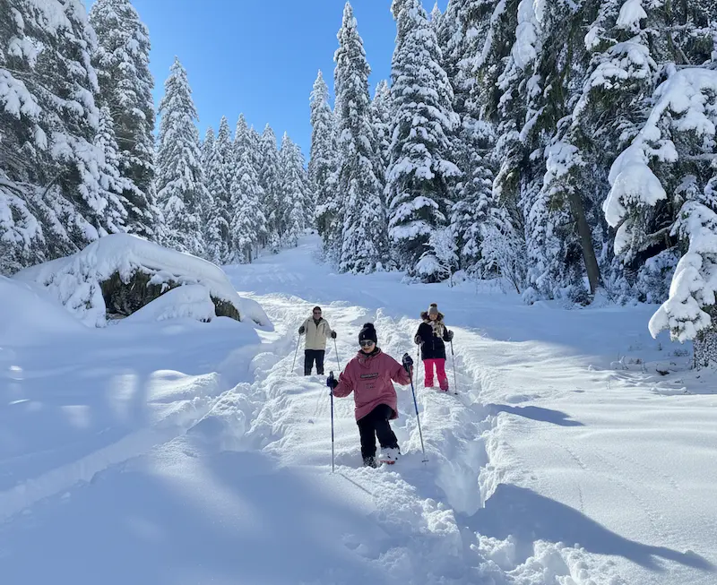 balade raquette foret courchevel